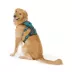 Kong® Safety Adjustable Dog Harness, Color and Size Vary image thumbnail 1