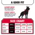 Kong® Safety Adjustable Dog Harness, Color and Size Vary image thumbnail 5
