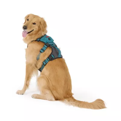 Kong® Safety Adjustable Dog Harness, Color and Size Vary - Image 1