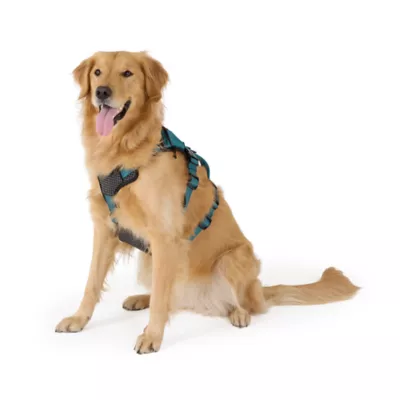 Kong® Safety Adjustable Dog Harness, Color and Size Vary - Image 2