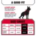 Kong® Safety Adjustable Dog Harness, Color and Size Vary image thumbnail 5