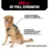 Kong® Safety Adjustable Dog Harness, Color and Size Vary image thumbnail 3