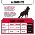 Kong® Safety Adjustable Dog Harness, Color and Size Vary image thumbnail 5