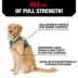 KONG® Dog Harness, Poop Bag Holder, Reflective, Adjustable, Multiple Sizes & Colors image thumbnail 3
