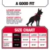 KONG® Dog Harness, Poop Bag Holder, Reflective, Adjustable, Multiple Sizes & Colors image thumbnail 5