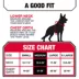 KONG® Dog Harness, Poop Bag Holder, Reflective, Adjustable, Multiple Sizes & Colors image thumbnail 5