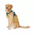KONG® Dog Harness, Poop Bag Holder, Reflective, Adjustable, Multiple Sizes & Colors image thumbnail 2