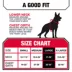 KONG® Dog Harness, Poop Bag Holder, Reflective, Adjustable, Multiple Sizes & Colors image thumbnail 5