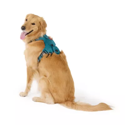KONG® Dog Harness, Poop Bag Holder, Reflective, Adjustable, Multiple Sizes & Colors - Image 1