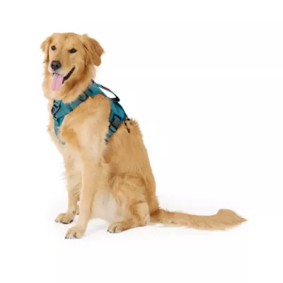 KONG® Dog Harness, Poop Bag Holder, Reflective, Adjustable, Multiple Sizes & Colors - Image 2