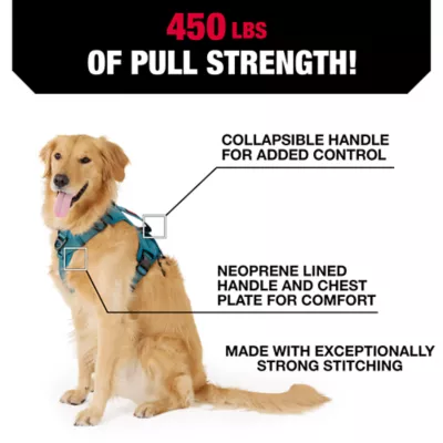 KONG® Dog Harness, Poop Bag Holder, Reflective, Adjustable, Multiple Sizes & Colors - Image 3