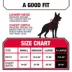 KONG® Dog Harness, Poop Bag Holder, Reflective, Adjustable, Multiple Sizes & Colors image thumbnail 5