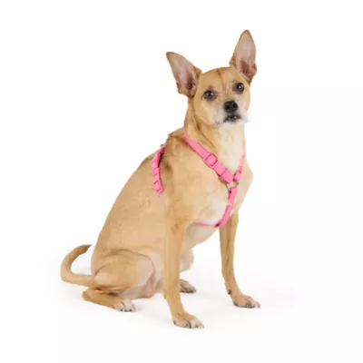 Top Paw® Basic Dog Harness, Slip On Dog Harness, Adjustable, Multiple Colors, Multiple Sizes - Image 2