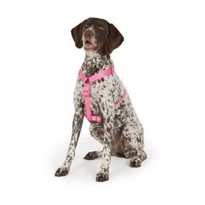Top Paw® Basic Dog Harness, Slip On Dog Harness, Adjustable, Multiple Colors, Multiple Sizes - Image 3