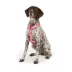 Top Paw® Basic Dog Harness, Slip On Dog Harness, Adjustable, Multiple Colors, Multiple Sizes image thumbnail 3