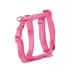 Top Paw® Basic Dog Harness, Slip On Dog Harness, Adjustable, Multiple Colors, Multiple Sizes image thumbnail 4