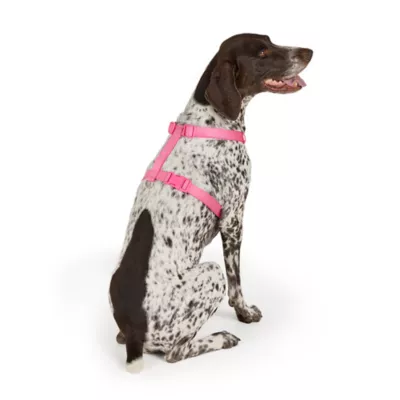Top Paw® Basic Dog Harness, Slip On Dog Harness, Adjustable, Multiple Colors, Multiple Sizes - Image 5
