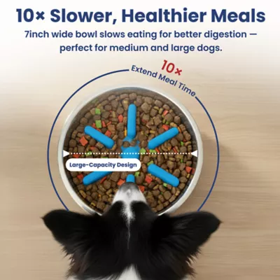 PawsPik Dog Stainless Steel Double Wall Slow-Feed Puzzle Bowl - Image 4