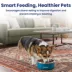 PawsPik Dog Stainless Steel Double Wall Slow-Feed Puzzle Bowl image thumbnail 9