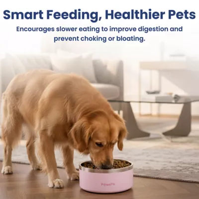 PawsPik Dog Stainless Steel Double Wall Slow-Feed Puzzle Bowl - Image 9