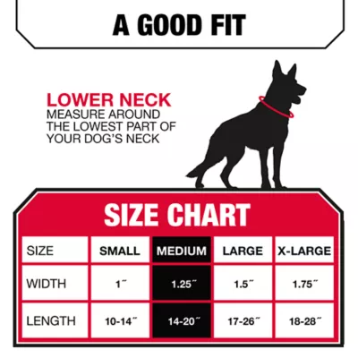 KONG® Chew Resistant Adjustable Nylon Dog Collar Color & Size Vary - Image 5
