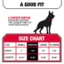 KONG® Chew Resistant Adjustable Nylon Dog Collar Color & Size Vary image thumbnail 5