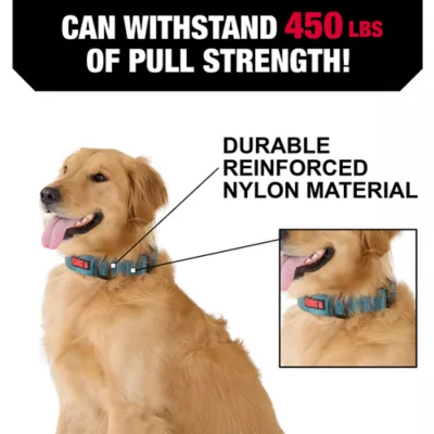 KONG® Chew Resistant Adjustable Nylon Dog Collar Color & Size Vary - Image 2