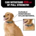 KONG® Chew Resistant Adjustable Nylon Dog Collar Color & Size Vary image thumbnail 2