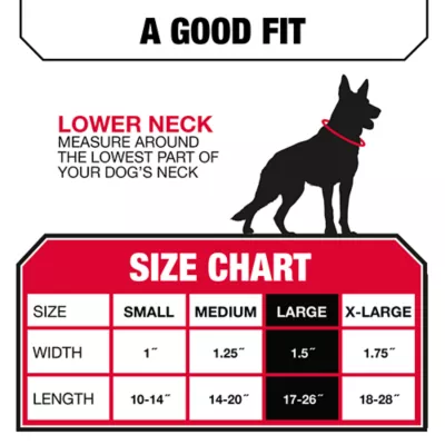 KONG® Chew Resistant Adjustable Nylon Dog Collar Color & Size Vary - Image 5