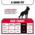 KONG® Chew Resistant Adjustable Nylon Dog Collar Color & Size Vary image thumbnail 5