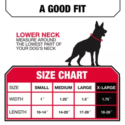 KONG® Chew Resistant Adjustable Nylon Dog Collar Color & Size Vary - Image 5