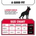 KONG® Chew Resistant Adjustable Nylon Dog Collar Color & Size Vary image thumbnail 5