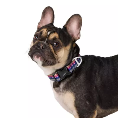 Arcadia Trail® Lightweight Dog Collar, Landscape, Ultra Reflective Material for Nighttime Visibility - Image 2