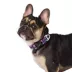 Arcadia Trail® Lightweight Dog Collar, Landscape, Ultra Reflective Material for Nighttime Visibility image thumbnail 2