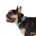 Arcadia Trail® Lightweight Dog Collar, Landscape, Ultra Reflective Material for Nighttime Visibility image thumbnail 2