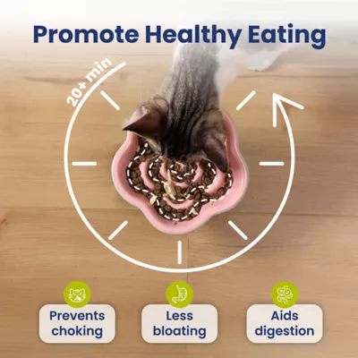 PawsPik Dog & Cat Raised Ceramic Slow Feeder Bowl - Image 3