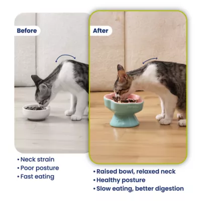 PawsPik Dog & Cat Raised Ceramic Slow Feeder Bowl - Image 5