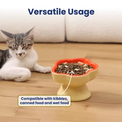 PawsPik Dog & Cat Raised Ceramic Slow Feeder Bowl - Image 6