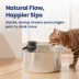 PawsPik Dog & Cat PureFlow MAX Stainless Steel Curve Water Fountain, 3.2 L image thumbnail 5