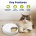 PawsPik Cat Smart 4-Meal Automatic Feeder, White, 4-cup image thumbnail 2