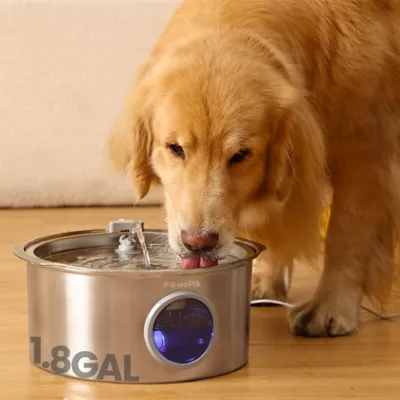 PawsPik Dog & Cat Ultra-Quiet Stainless Steel Water Fountain, 1.8-gal - Image 2