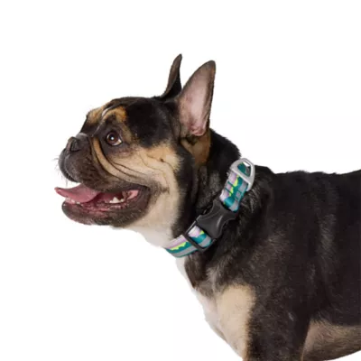 Arcadia Trail® Lightweight Dog Collar, Landscape, Ultra Reflective Material for Nighttime Visibility - Image 2