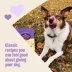 Old Mother Hubbard Peanut Butter Oven-Baked Dog Treats image thumbnail 4
