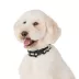 Arcadia Trail® Lightweight Dog Collar, Stripe, Ultra Reflective Material for Nighttime Visibility image thumbnail 2