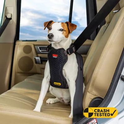 Kong® Crash Tested Ultimate Safety Car Harness W/ Breathable Fabric & Adjustable Strap - Image 2