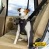 Kong® Crash Tested Ultimate Safety Car Harness W/ Breathable Fabric & Adjustable Strap image thumbnail 2