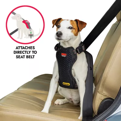 Kong® Crash Tested Ultimate Safety Car Harness W/ Breathable Fabric & Adjustable Strap - Image 4