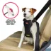 Kong® Crash Tested Ultimate Safety Car Harness W/ Breathable Fabric & Adjustable Strap image thumbnail 4