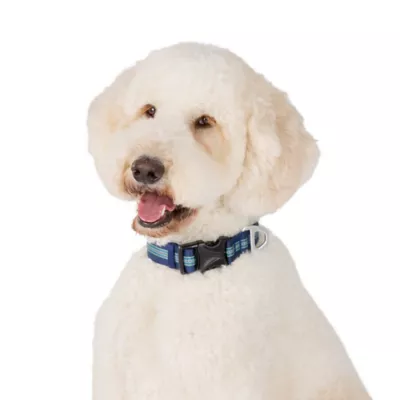 Arcadia Trail® Lightweight Dog Collar, Stripe, Ultra Reflective Material for Nighttime Visibility - Image 2