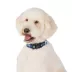 Arcadia Trail® Lightweight Dog Collar, Stripe, Ultra Reflective Material for Nighttime Visibility image thumbnail 2